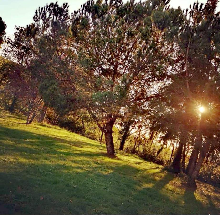 Апартаменты Printemps Quatre Saisons Бержерак Экстерьер фото